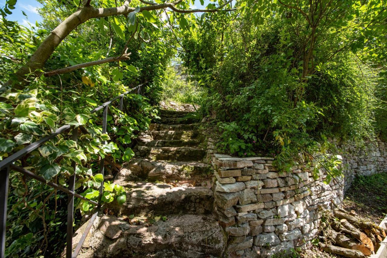Perfetta Letizia Casa Vacanza Assisi Dış mekan fotoğraf
