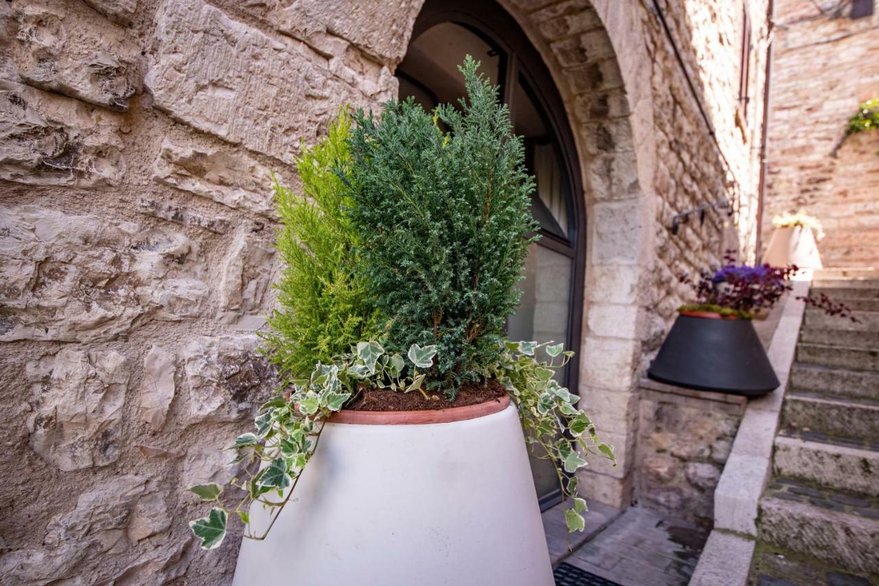 Perfetta Letizia Casa Vacanza Assisi Dış mekan fotoğraf